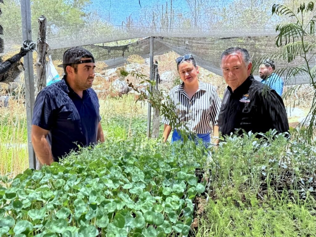 Autoridades municipales visitan a beneficiarios de vivienda y apoyos rurales en Miraflores