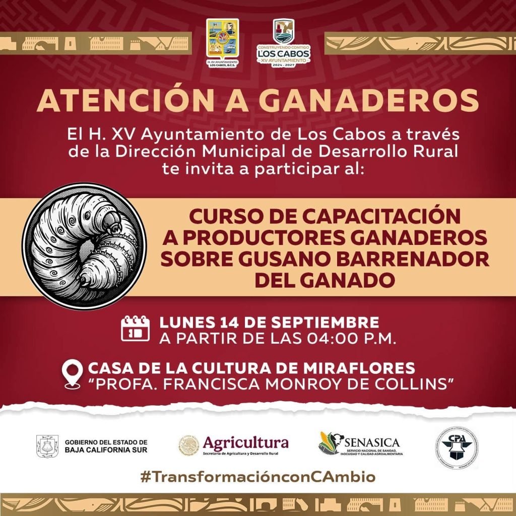 Capacitarán a productores ganaderos de Los Cabos sobre el gusano barrenador del ganado