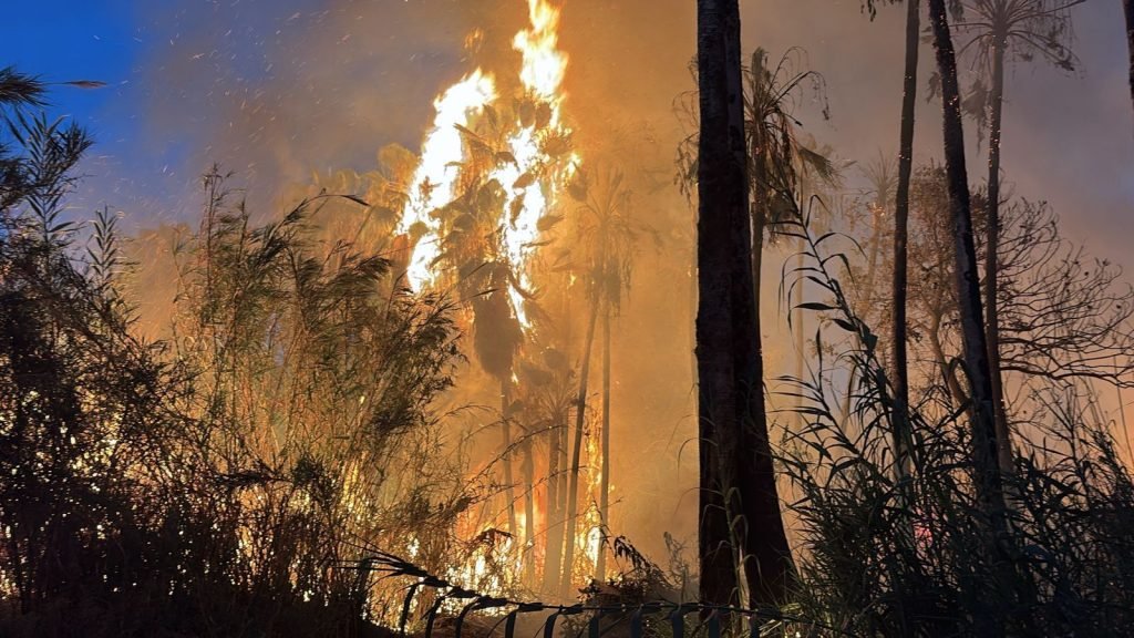Cuerpos de emergencia intensifican labores de contención por incendio en El Palmar de Santa Rosa.