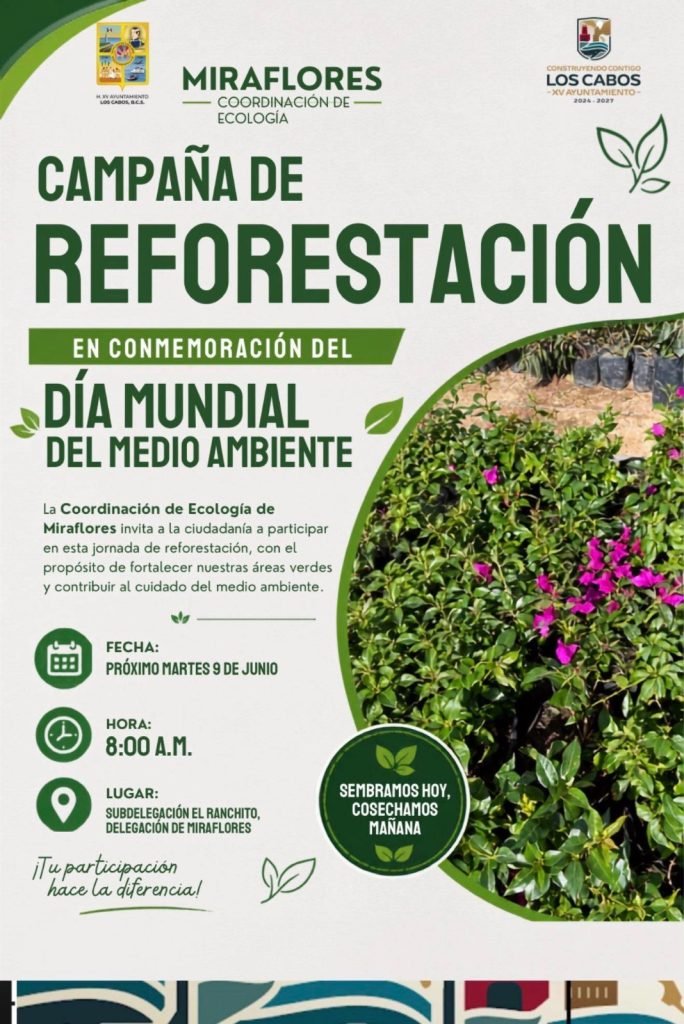Invitan a jornada de reforestación en Miraflores por el Día Mundial del Medio Ambiente