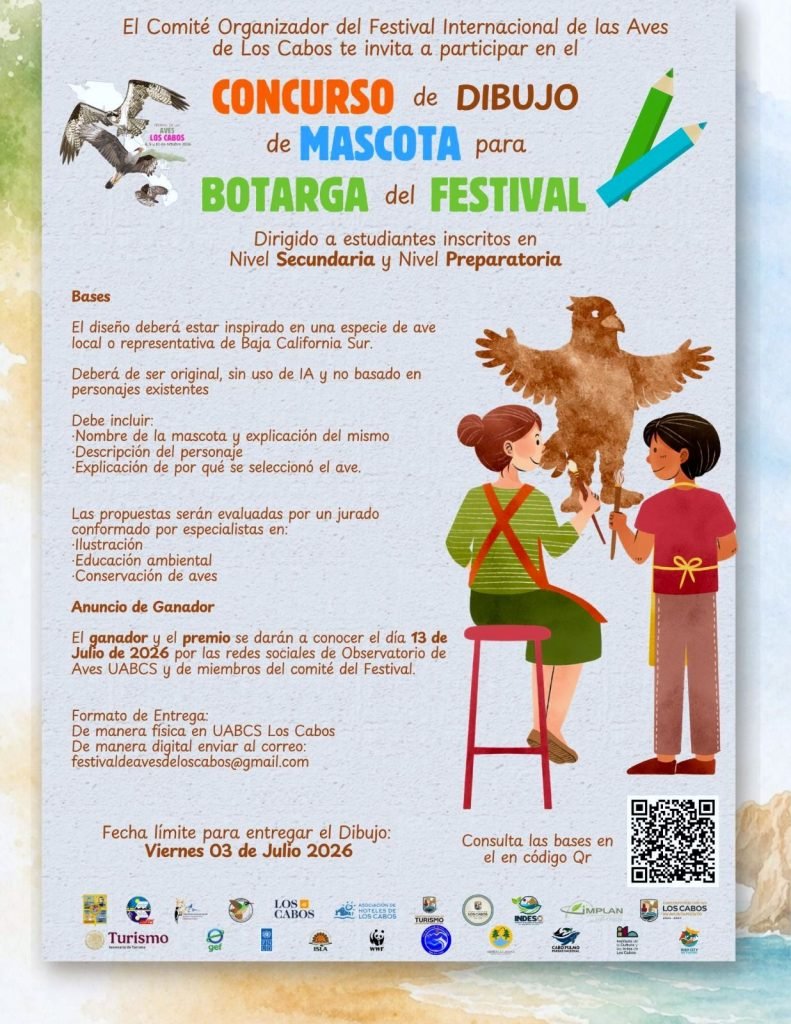 Lanzan convocatoria en Los Cabos para elegir a la mascota oficial del Festival Internacional de las Aves