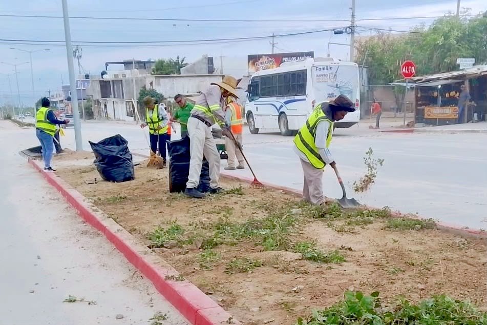 Mantiene XV Ayuntamiento de Los Cabos programa permanente de limpieza y mantenimiento de parques en Cabo San Lucas