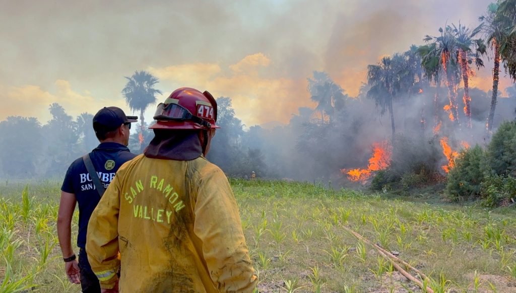 Más de 150 elementos trabajan para contener incendio forestal y proteger viviendas en Santa Rosa