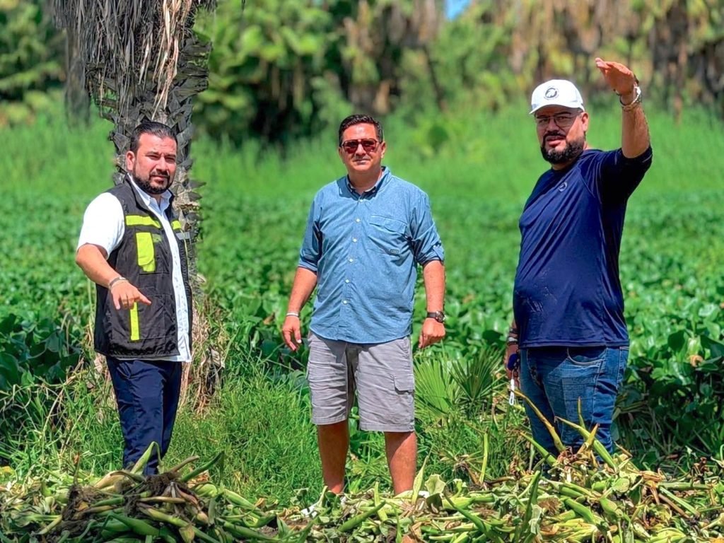 Reafirma XV Ayuntamiento compromiso permanente con la protección del Estero Josefino
