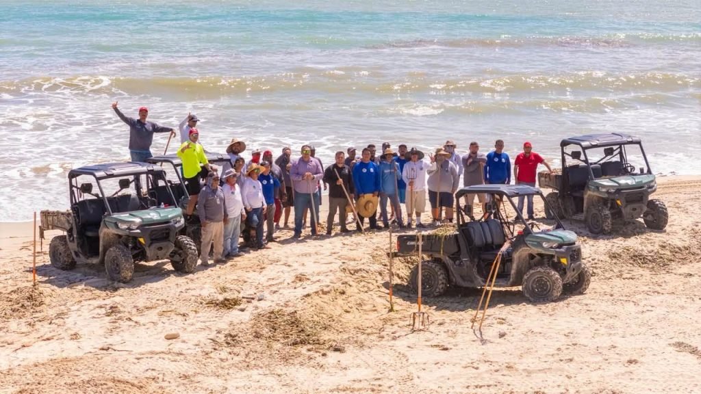 Retiran 15 Toneladas de Lirio Acuático de Playas de San José del Cabo