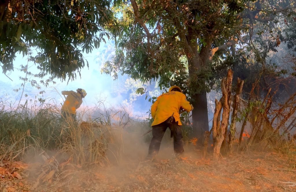 Sin interrupciones continúan labores para la extinción total del incendio en El Palmar en Santa Rosa