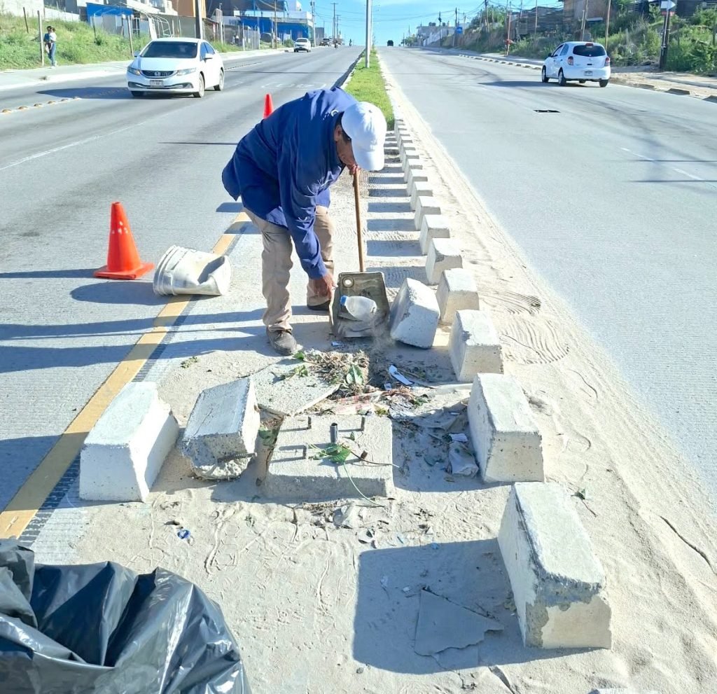 Trabajan cuadrillas de Servicios Públicos en la limpieza de avenidas en Cabo San Lucas