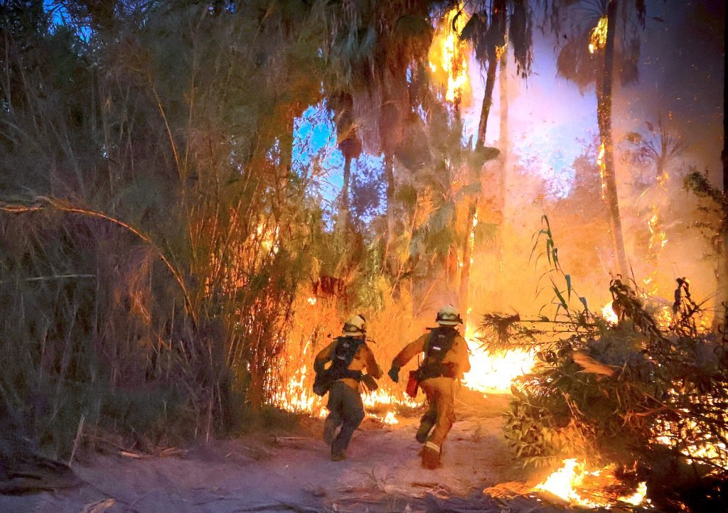 Tras mas de 6 horas de trabajos, Bomberos de San José del Cabo controlan incendio en palmares de Santa Rosa.